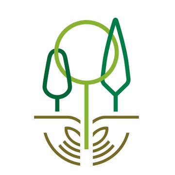 IEFC Planted Forests