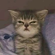 dm_ab36b7ed5a19ca9f40a7576cf9c055c1