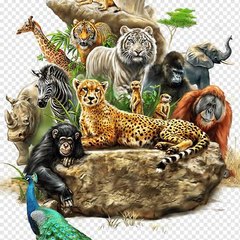 World Animals