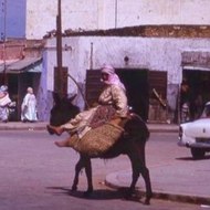 Riht Douar ريحة الدوار .