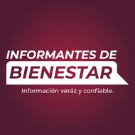 Informantes de Bienestar