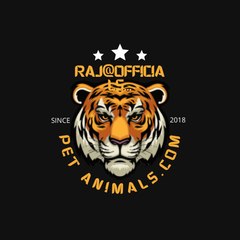 Cute Animals