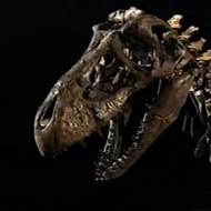 Science Documentaries