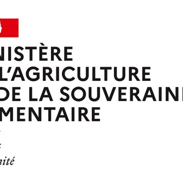 dm_e9b972cef31ad6e5e7b3de761603af9b