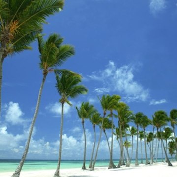 Jeff's Vacations