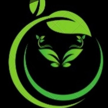 Sunroof Techno Mix