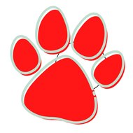 The New Animal Video