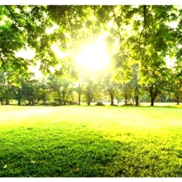 Scenic scenes YB.....