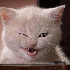 Just smile
