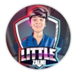 Little zalmi