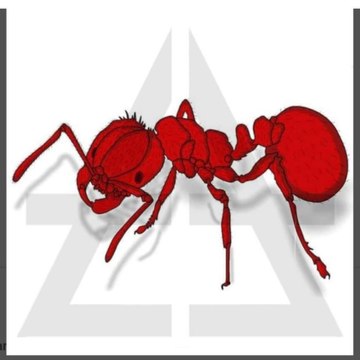 AntRed