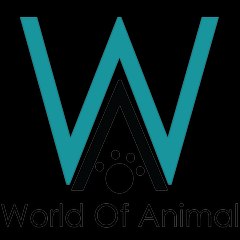 World Of Animal