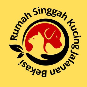 Rumah Singgah Kucing Jalanan Bekasi