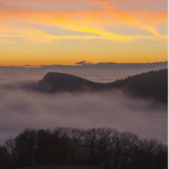 Dokter healt & care official