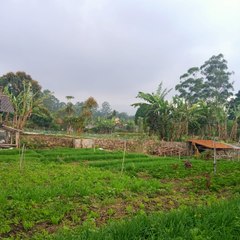 Pejuang Receh