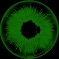 WhiteHat (rar)