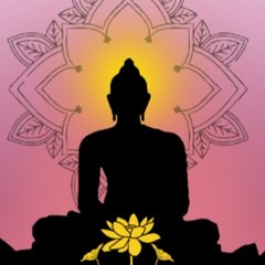 Motivation (peace off mind here)