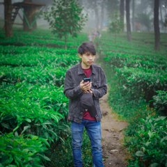 Nory yahya