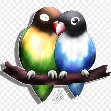 Portugues Entertainment