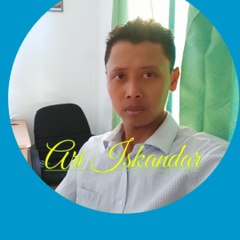 Ari iskandar