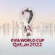 Fifa Worldcup Highlights