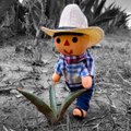 Mundo Maguey