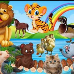 Animal sound like