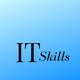 IT skills hub