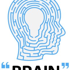 Brain Inspira
