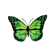 Birabiro entertainment