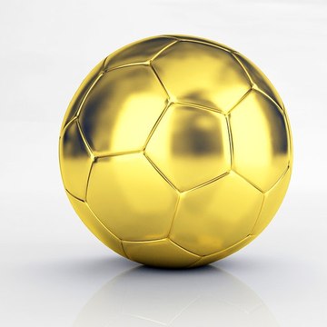 Sports Lovers