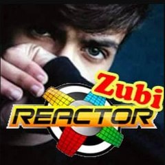 Zubi Reactor