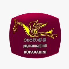 SLRC Dubbing Zone