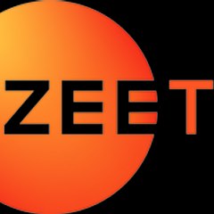 Zee TV
