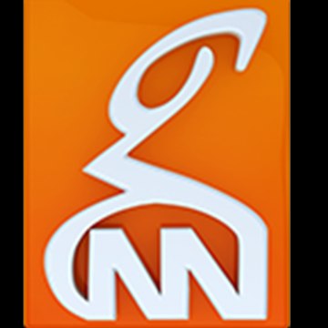 GNN
