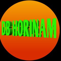 DB HORINAM