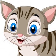 funny animals b d 24