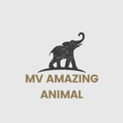 MV AMAZING ANIMAL