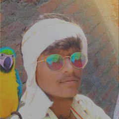 Motivational speaker no.1