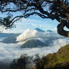 Indonesia's nature