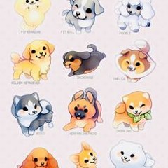 GSS ANIMALS