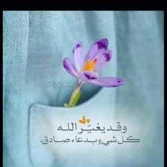 استفاد مع منوعات