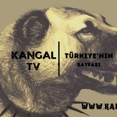 KangalTV Video