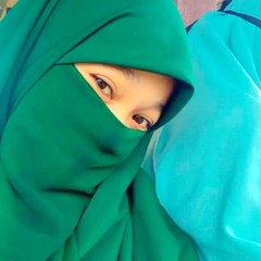 putri hewan