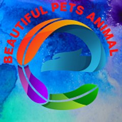 @BeautifulPetsAnimal