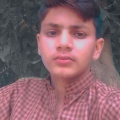 shahziab  Ali