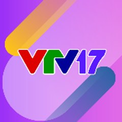VTV17