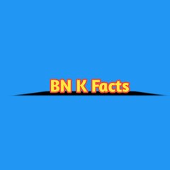 BN K Facts