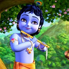 The devotee of krishna
