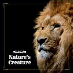 Nature's Creature
